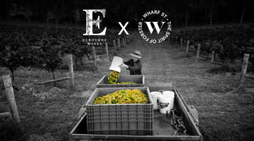 Gallery - An Evening with Elbourne Wines