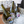 Load image into Gallery viewer, Mercer Wines Dinner
