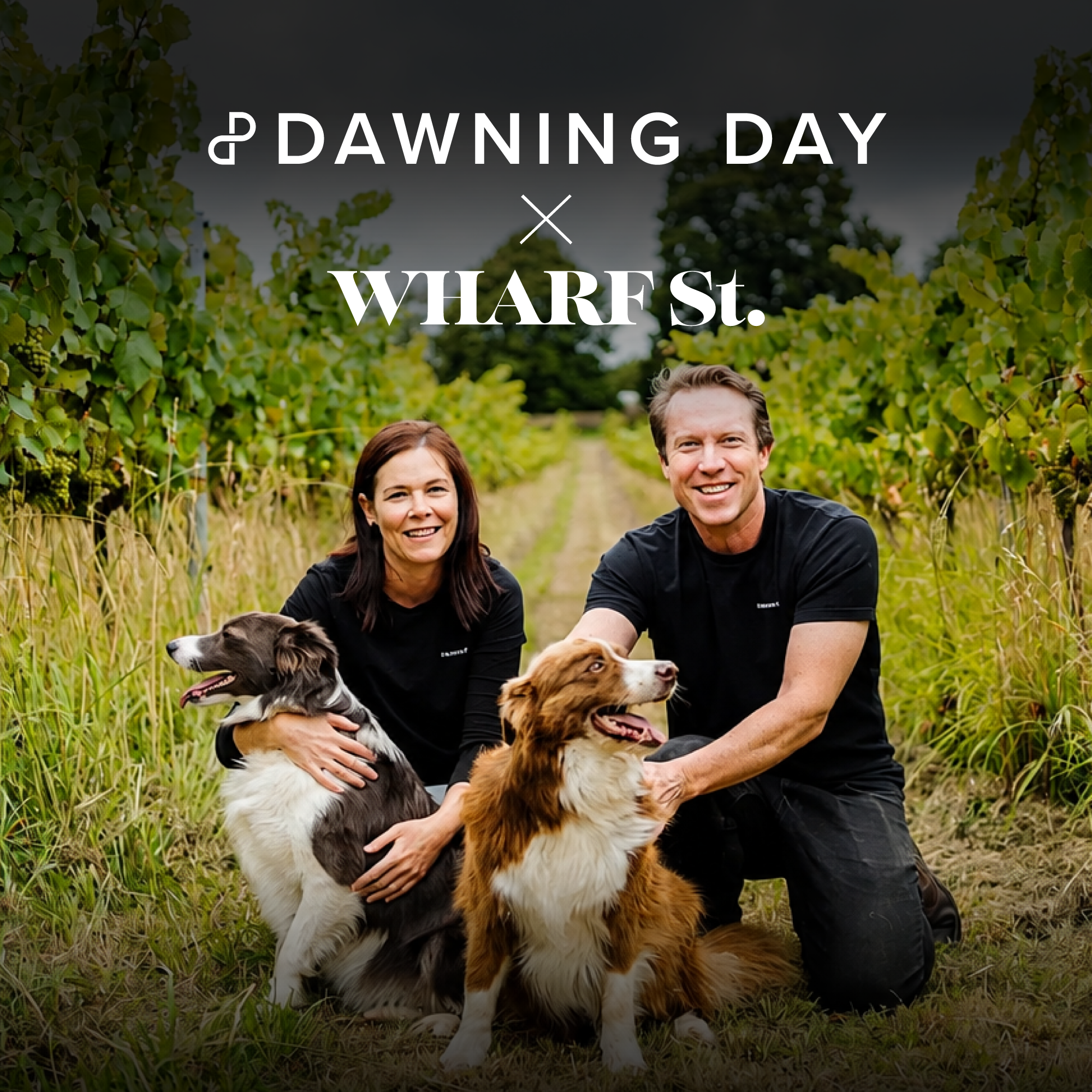 Wine Dinner with Dawning Day Farms